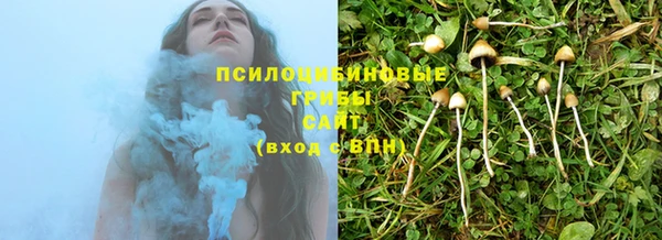 круглые Белокуриха